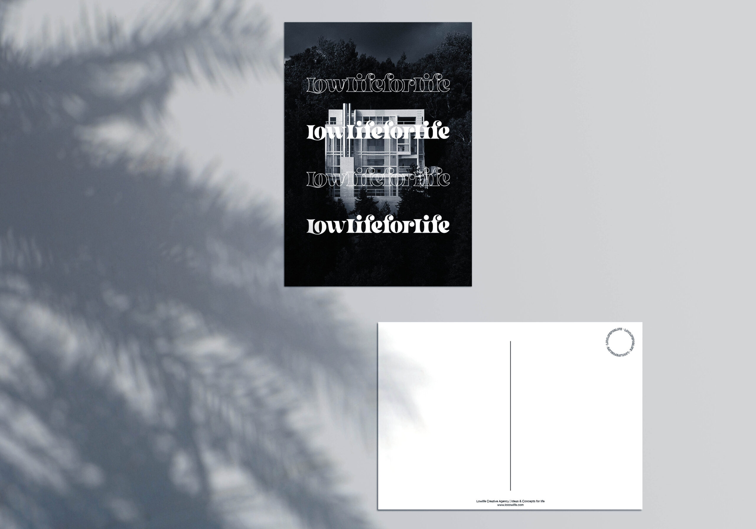 LL4L Jungle Postcard